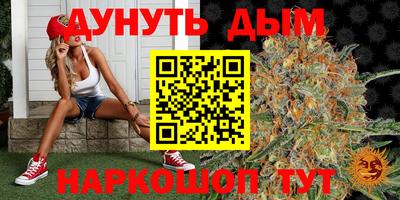 шишки Волгодонск