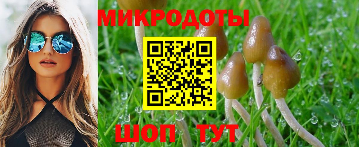 Псилоцибиновые грибы Psilocybine cubensis Нефтекамск