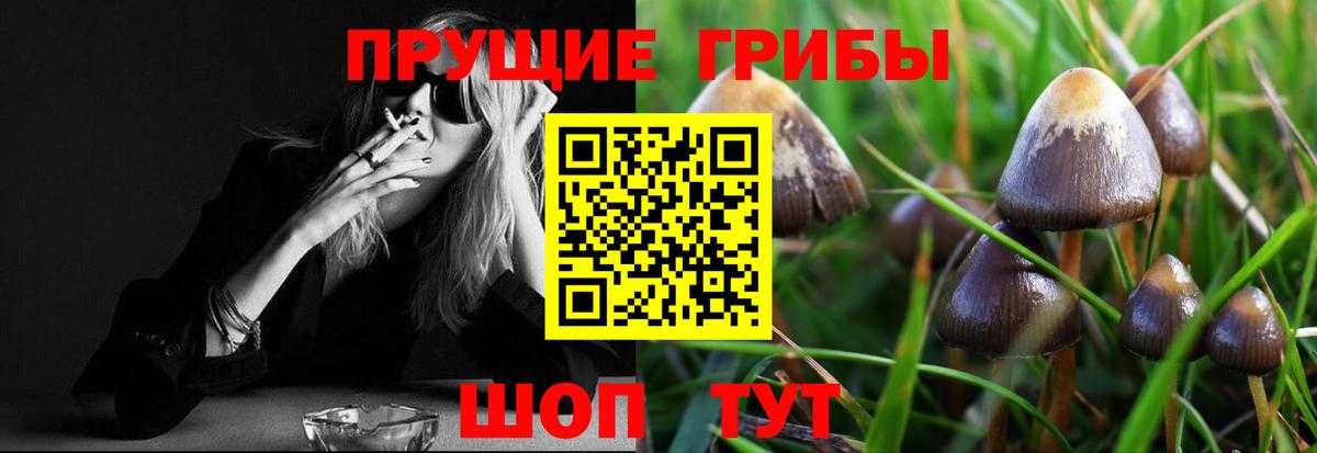 Псилоцибиновые грибы GOLDEN TEACHER  Вход с VPN  наркотики  Нефтекамск 